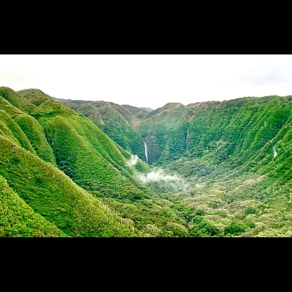 Meet your Posher, Ai - Picture 2 of 8